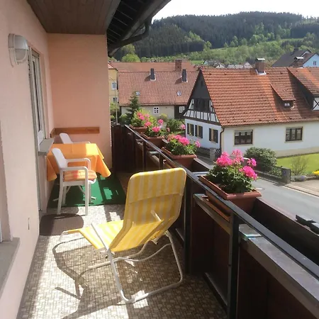 Freistehendes Mit Suedbalkon Marktrodach